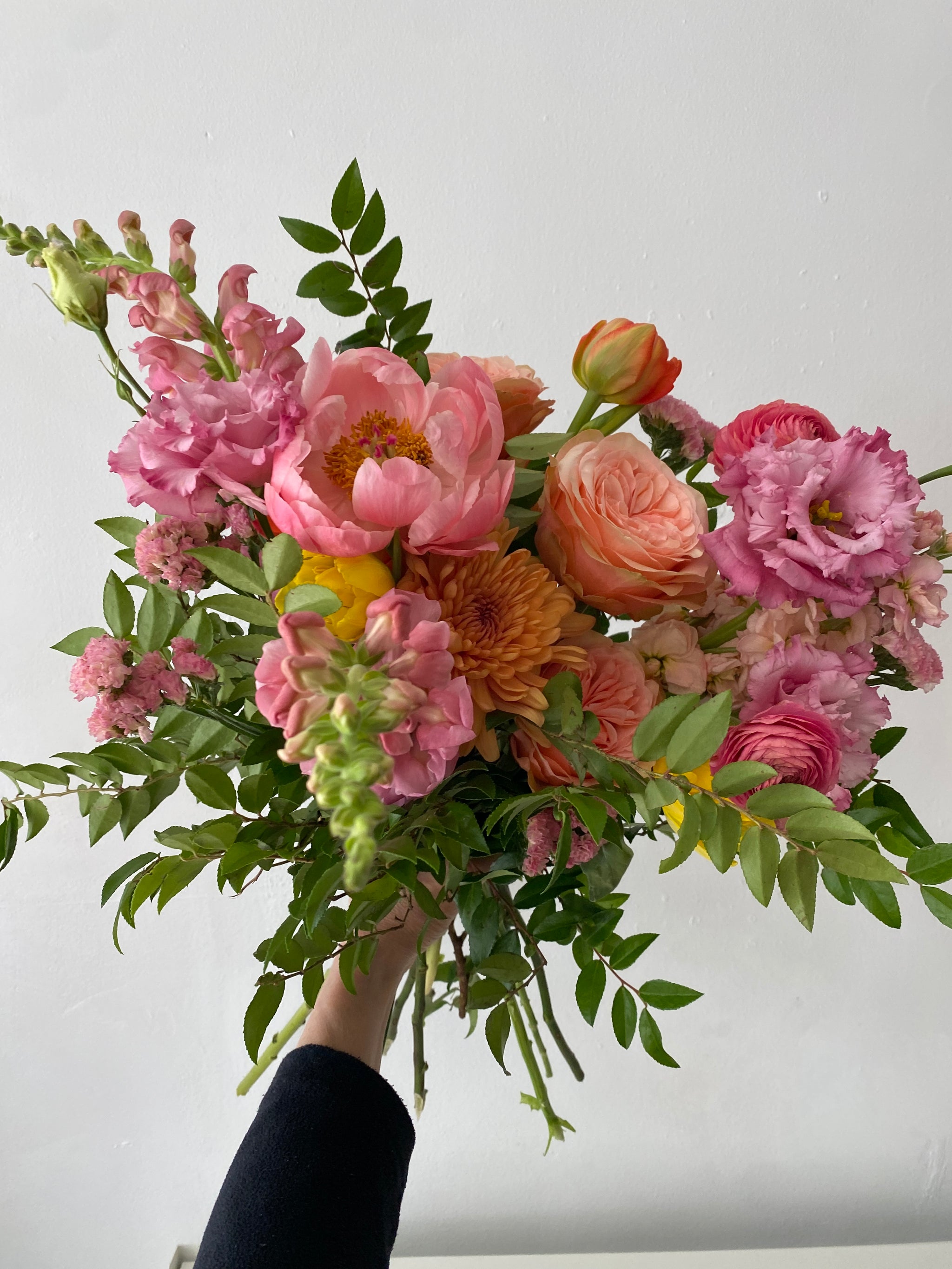 Collections – Fern Shop Toronto