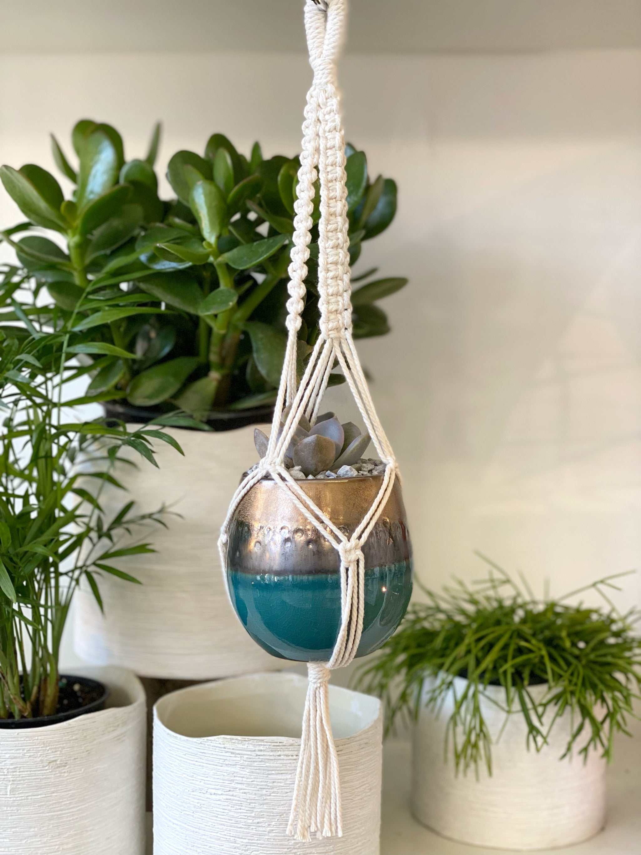 Mini Macrame Hanger – Fern Shop Toronto